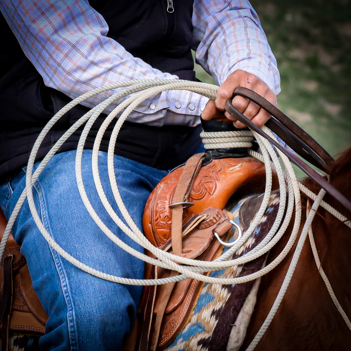 Horn Wraps & Ropes Loncey Johnson Saddles