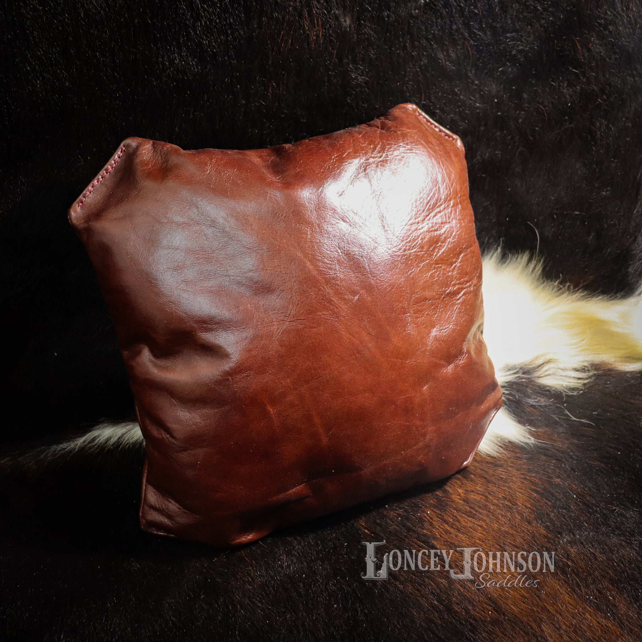 Genuine Leather Pillows