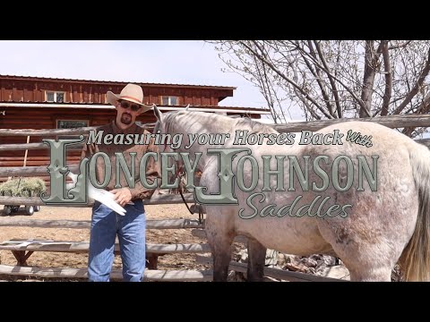 Saddle Fitting Cards